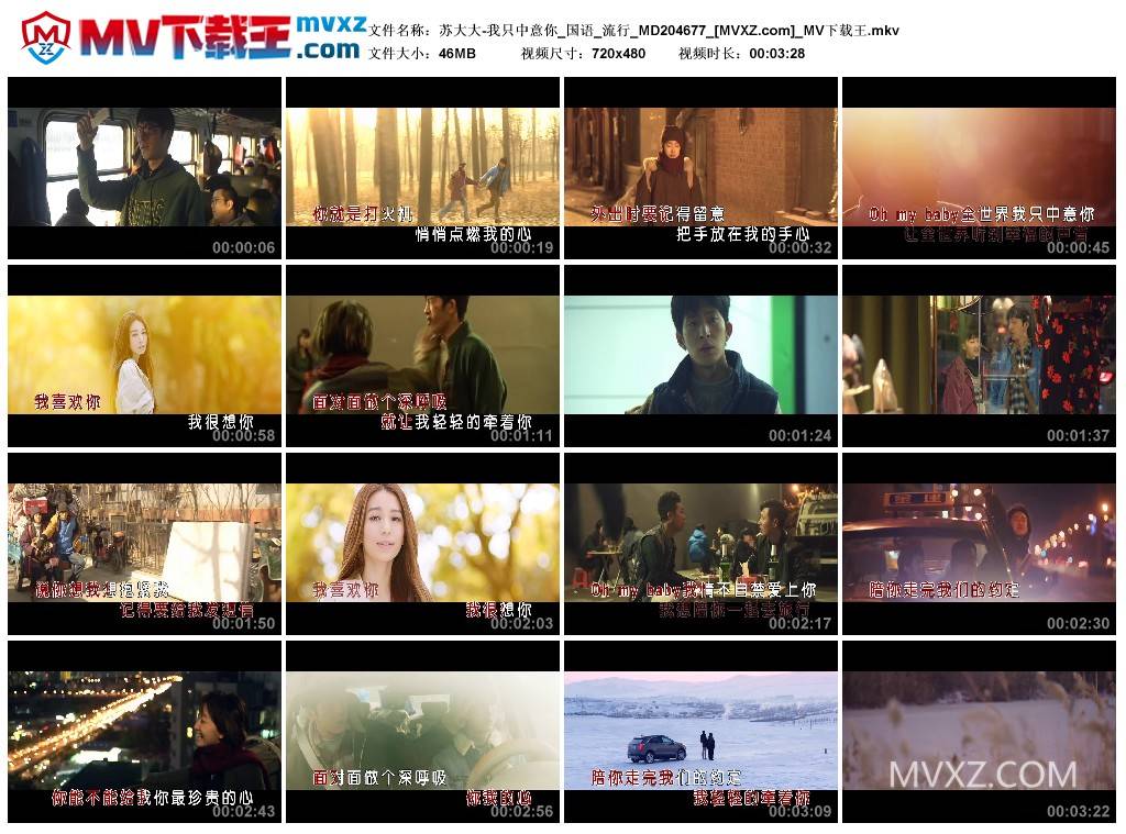 苏大大-我只中意你_国语_流行_MD204677